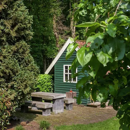 Cozy Holiday Home In Bergharen With Forest Nearby Holiday home